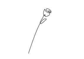 One continuous single line hand drawing of rose flower vector