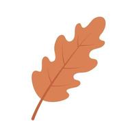 hoja de roble de otoño. ilustración vectorial aislada para diseño o decoración, impresión vector