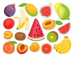 juego de frutas en estilo de dibujos animados. higo, melocotón, albaricoque, naranja, kiwi, plátano, mango, sandía, pomelo. vector