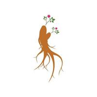 plantilla de diseño de ilustración de icono de vector de ginseng