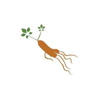 Ginseng vector icon illustration design template