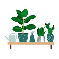 Houseplants, watering can and plant mister on a shelf. Trendy composition with home decorations vector