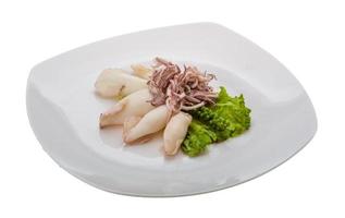 Boiled squid on the plate and white background photo