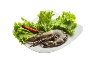 Tiger prawn Tiger prawn on the plate and white background photo