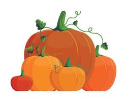 temporada de cosecha de calabazas vector