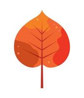 autumn dry leaf vector