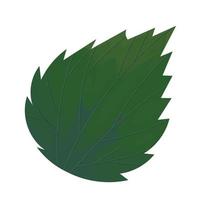 green leaf foliage vector
