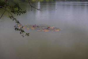 complejo de angkor wat foto