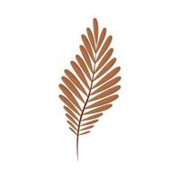 dry branch leaves vector