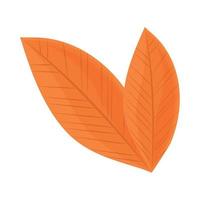 dry leaves icon vector