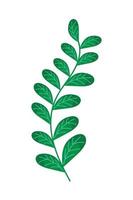 leaves nature icon vector