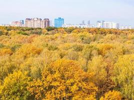 yellow city park and urban houses in autumn photo