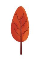 autumn tree foliage vector