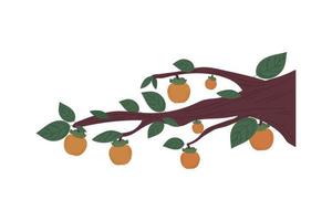 árbol caqui fruta vector