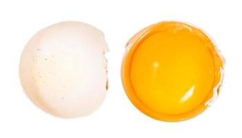 separated egg yolk in shell and empty shell photo