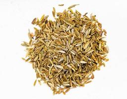 pile of cumin cuminum cyminum seeds on gray photo