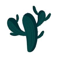 cactus plant icon vector