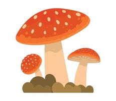 autumn mushroom and grass vector