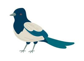 lindo pájaro azul vector