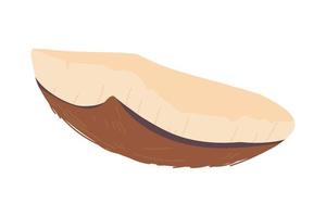 slice coconut icon vector
