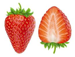 Two strawberries isolated on white background photo