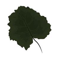leaf flat icon vector