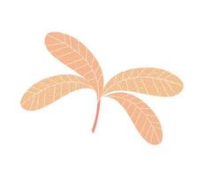 texture leaves nature vector