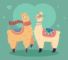 adorable llamas cartoon vector