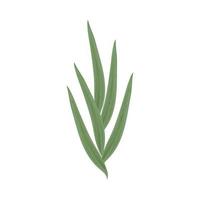 leaves greenery icon vector