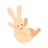 rabbit vector icon