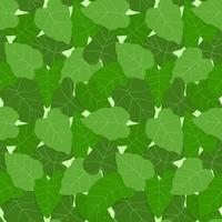 Taro Leaves Seamless Pattern vector