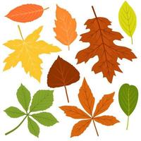 Autumn Leaves Collection Best for Sticker and Decoration vector