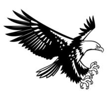 drawing a black eagle flying on white background vector