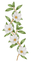 blumenstrauß und kranz aquarell png