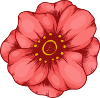 main dessiner croquis fleur et feuille png