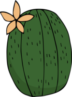 cactus cartone animato scarabocchio png