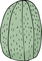 cactus cartoon doodle png