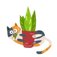 The spotted cat has bitten off a leaf of a flower and is playing around. Prankster cat. Vector illustration