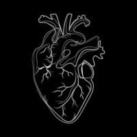 dibujo abstracto del arte de la línea del corazón anatómico del garabato, ilustración vectorial aislada en el fondo negro. silueta del dibujo de la línea blanca del corazón humano para el diseño de la atención médica. signo, emblema del logotipo, impresión vector