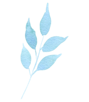 Leaf watercolor hand paint png