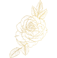 flor rosa con arte lineal dorado png