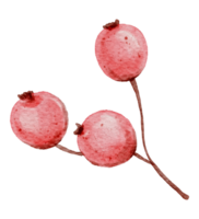 aquarela de plantas de outono png