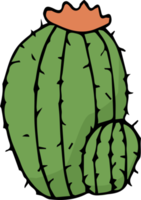 cactus cartoon doodle png