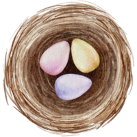 oeufs de pâques dans le nid aquarelle png