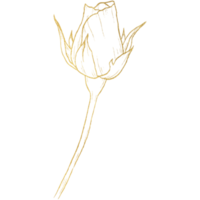 flor rosa con arte lineal dorado png