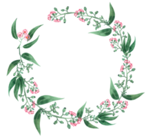 couronne aquarelle d'eucalyptus png