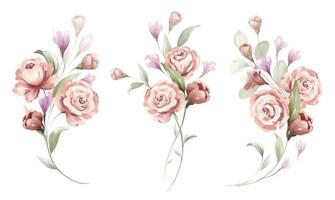Watercolor floral bouquet of pink rose collection vector
