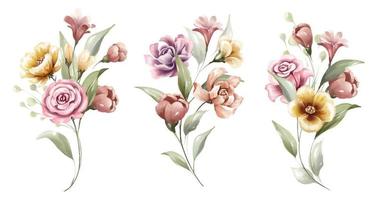 Beautiful floral bouquet of colorful flowers watercolor set vector