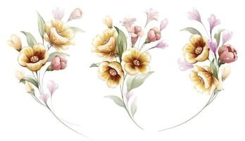 Set of Watercolor red and yellow floral bouquet vector