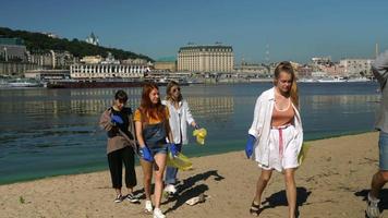 verschmutzter Strand, der von einer Gruppe von Menschen gereinigt wurde video